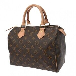 Louis Vuitton Canvas Speedy Handbag Monogram Brown
